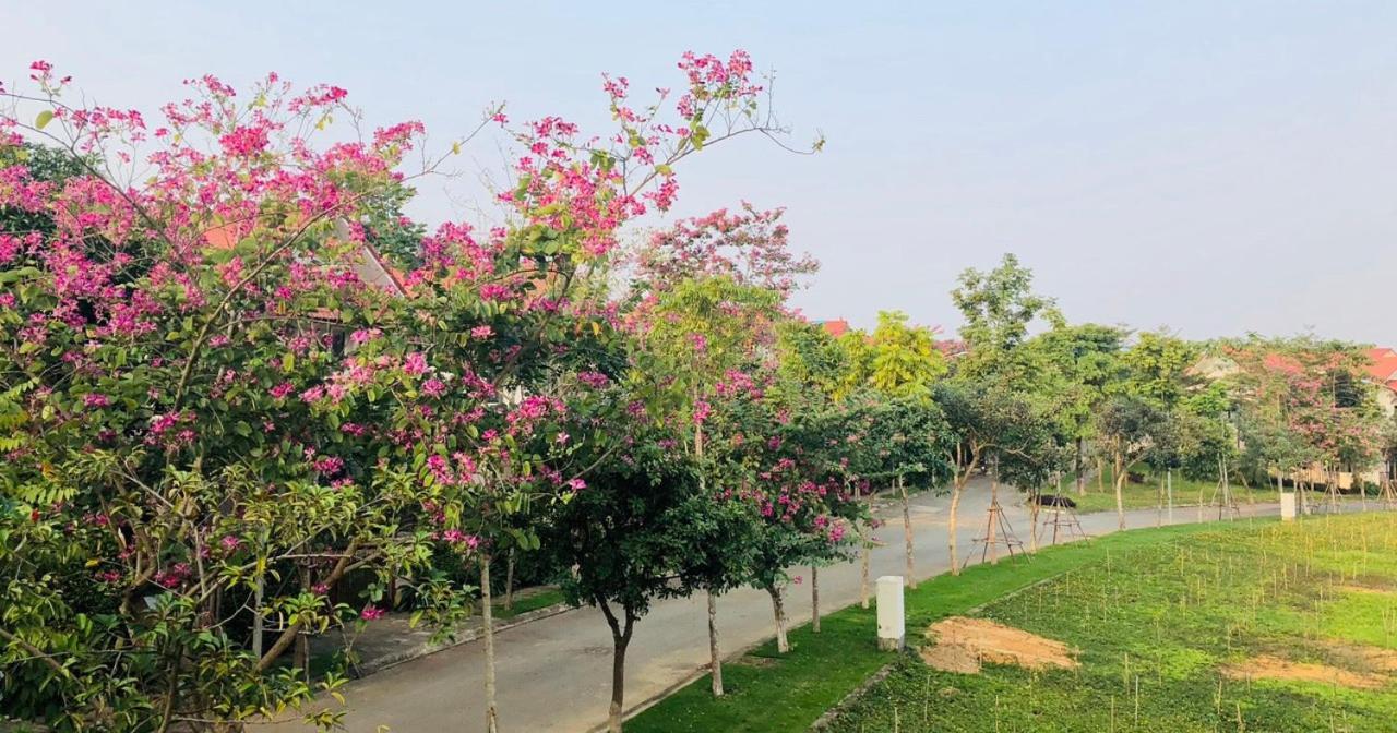 Xanh Villas Resort & Spa Luxury 하노이 외부 사진